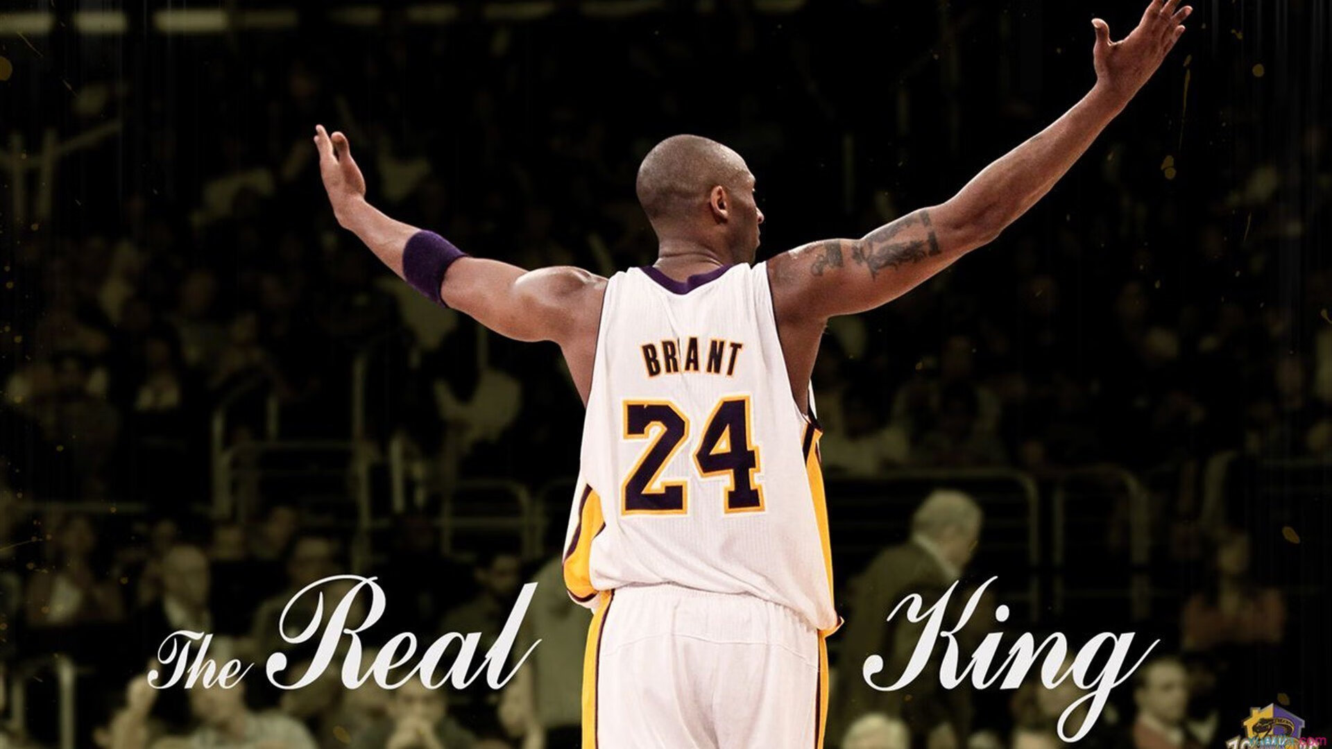 斯诺克国锦赛首席8强出炉：赵心童创纪录，斯佳辉遗憾止步德比战