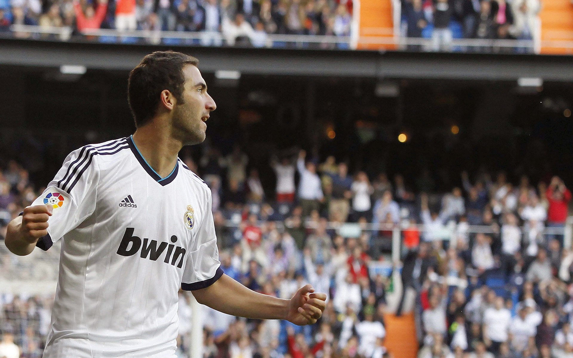 纽卡斯尔:埃迪豪的务实哲学,稳步提升,纽卡斯尔对埃弗顿比分预测